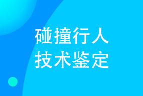 碰撞行人技术鉴定