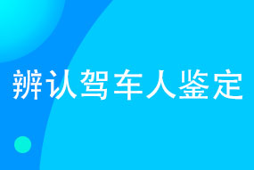 辨认驾车人鉴定