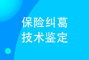 保险纠葛技术鉴定