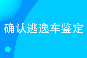 确认逃逸车鉴定